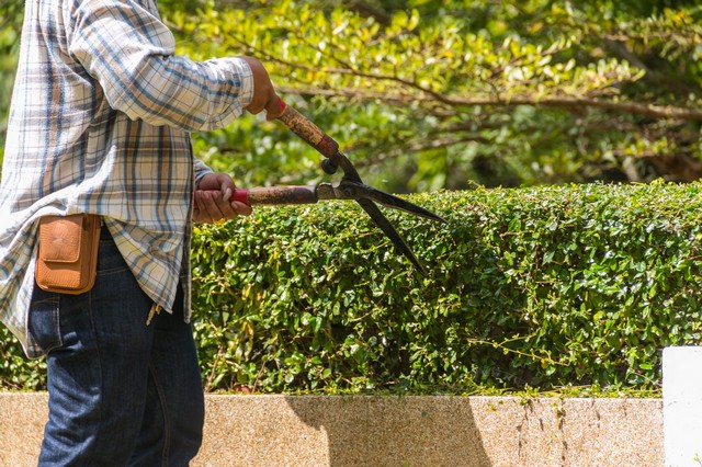 Garden Maintenance North Finchley, Woodside Park, N12