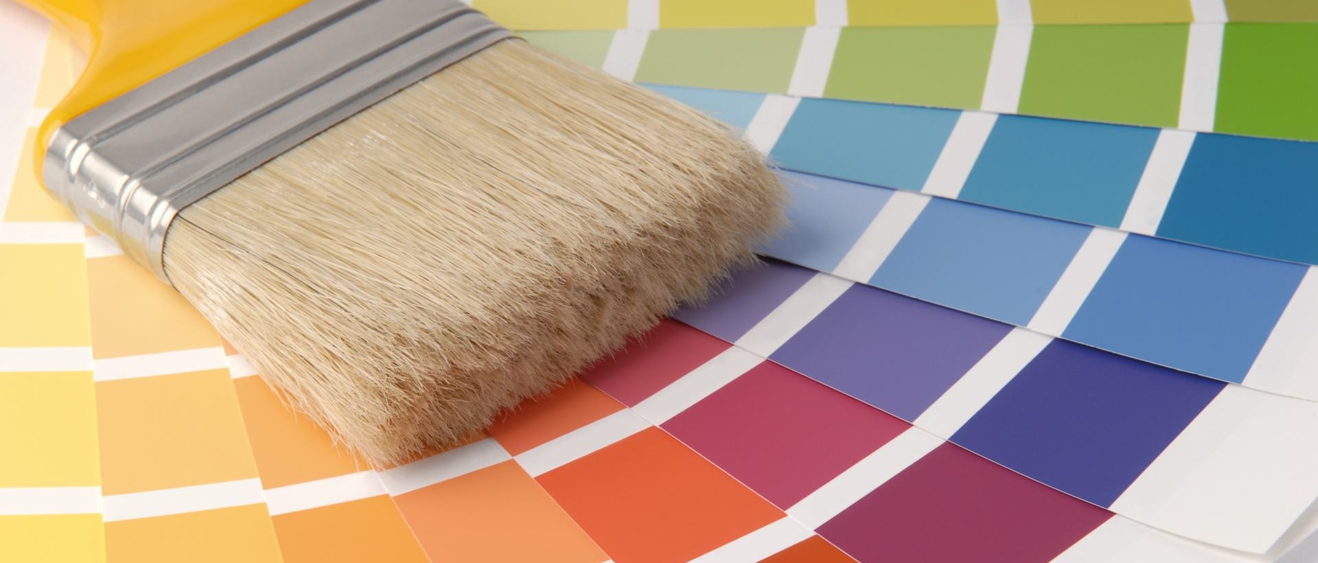 Painter N12